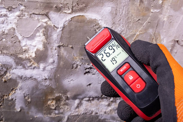 Best DIY Mold Remediation Support Services in Evansville, IN